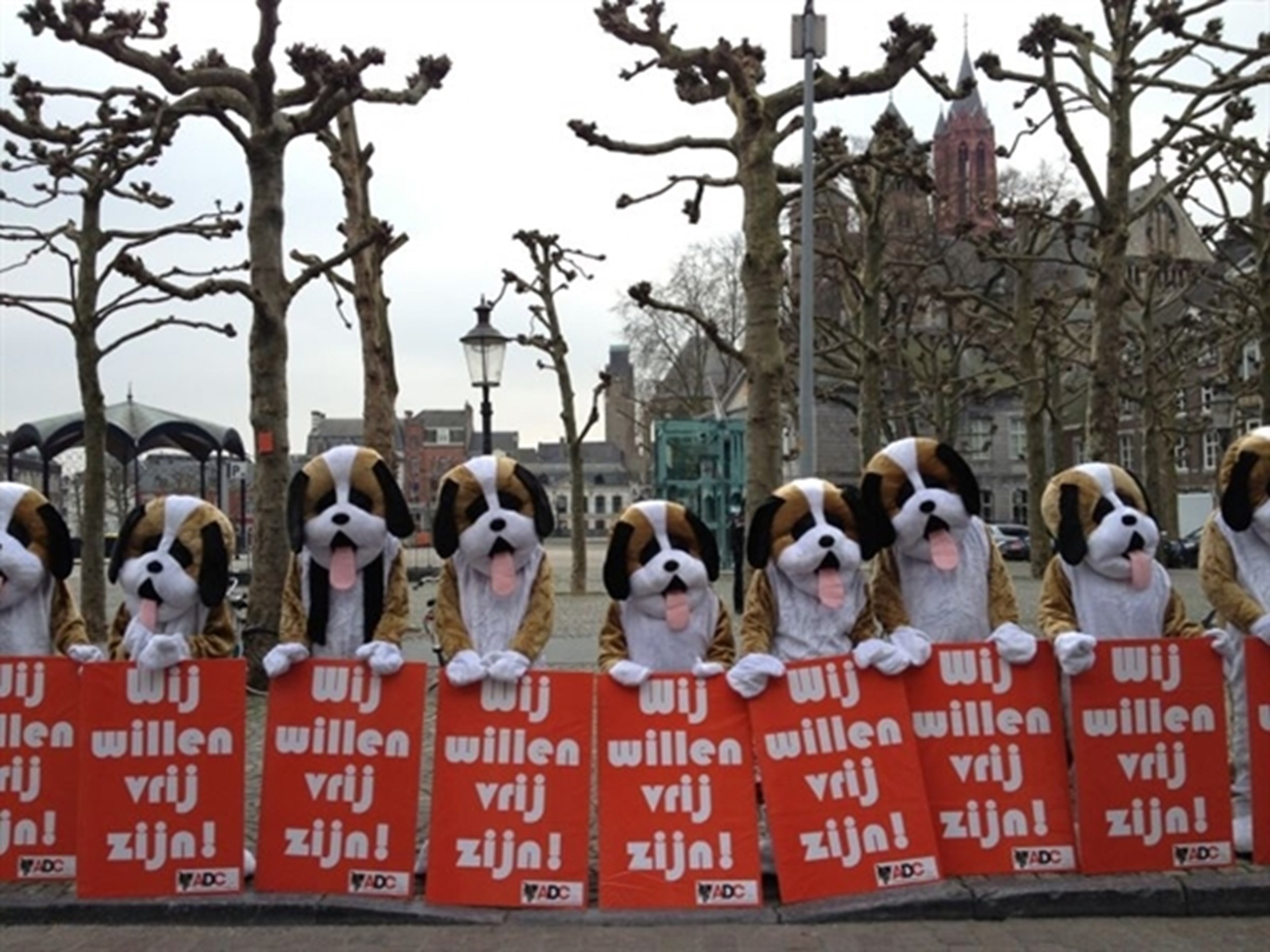 UM: “Geen sprake van slappe knieën”